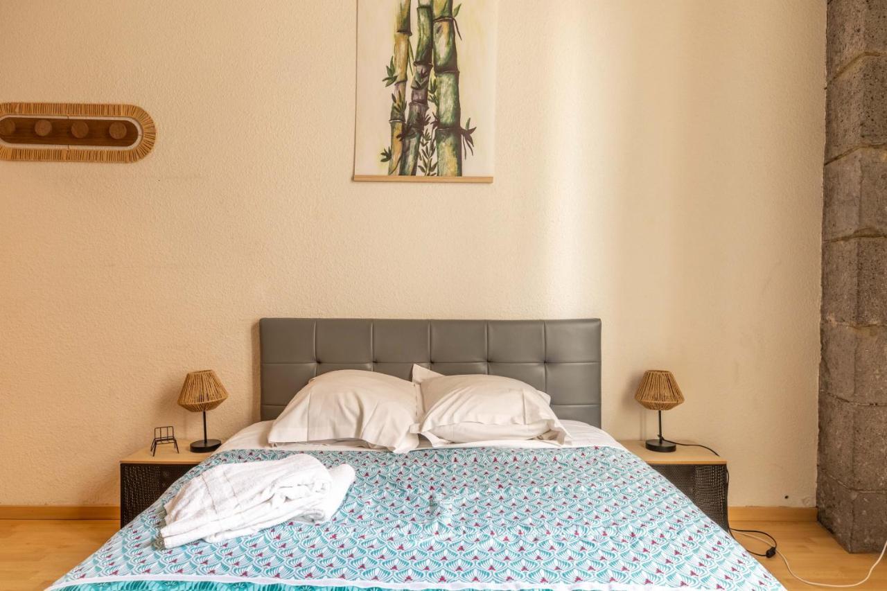 Evasion Centre-Ville 2 A 8 Personnes Clermont-Ferrand Ngoại thất bức ảnh